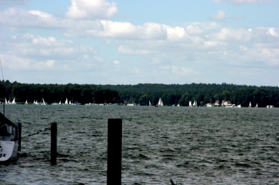 Werbellinsee Blick nach Wildau