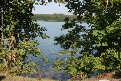 Am Werbellinsee